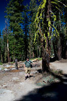 Yosemite August '08