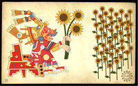 Aztec Sunflowers